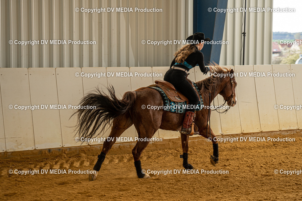 MIT00632 | dv-media-shop - Realisiert mit Pictrs.com