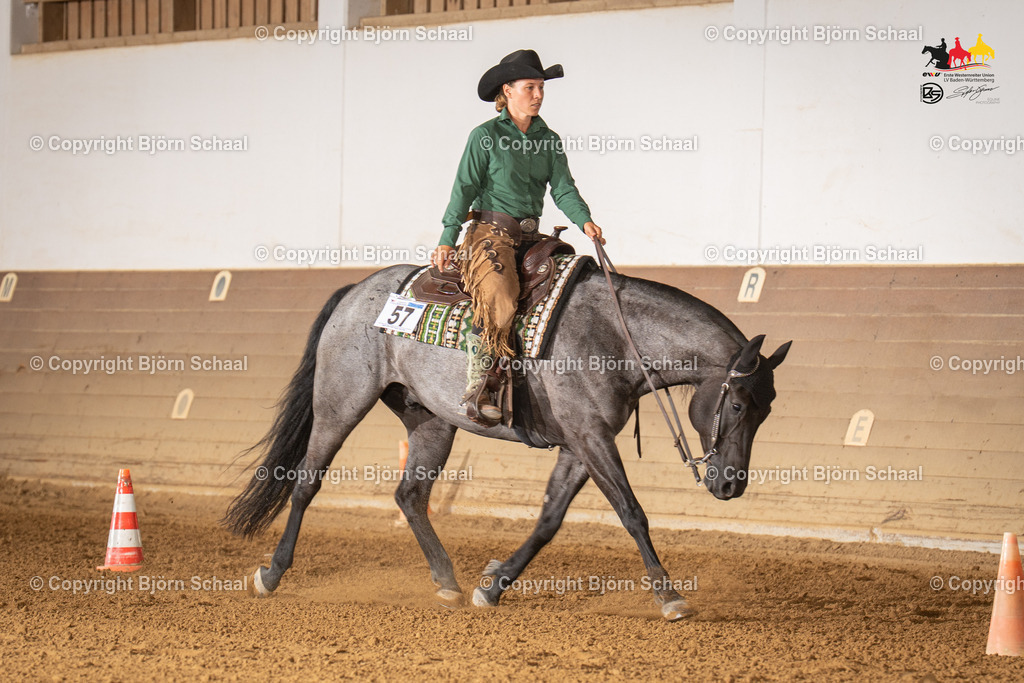 LMS06563 | BS-foto