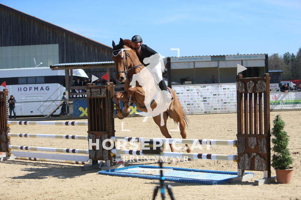 DL2Q0170 | Willkommen bei Brunnmayr - Design & Fotografie – Ihrem Spezialisten für Reitturniere und Pferdeveranstaltungen in Oberösterreich, Salzburg und Bayern! Seit über 17 Jahren sind wir leidenschaftlich dabei.