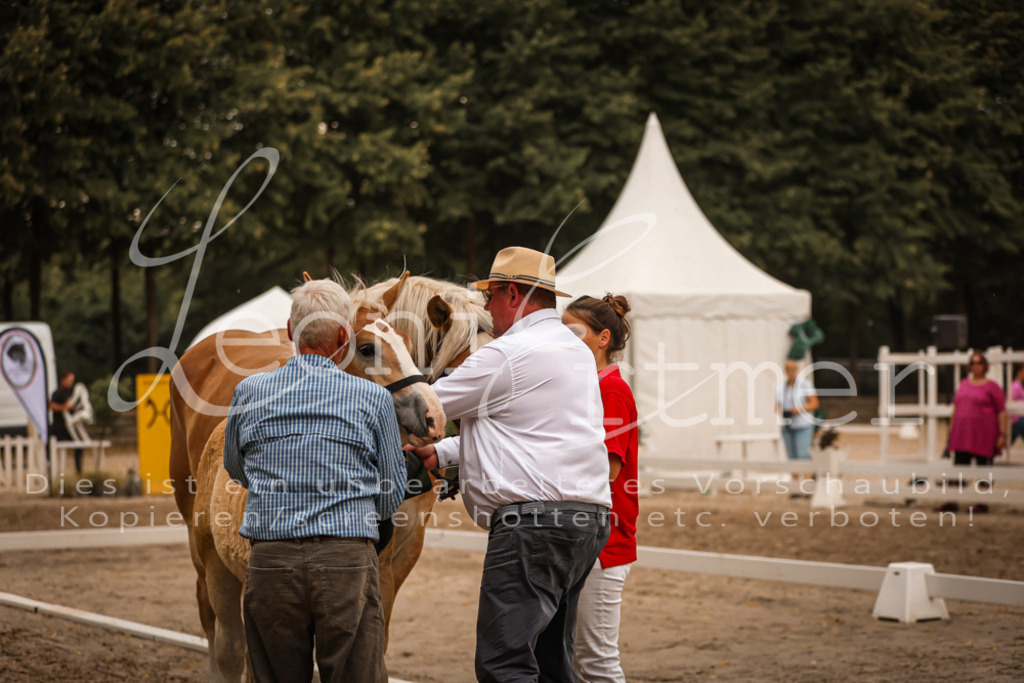 SaHF00143 | Leoni Ertmer Photography - Realisiert mit Pictrs.com