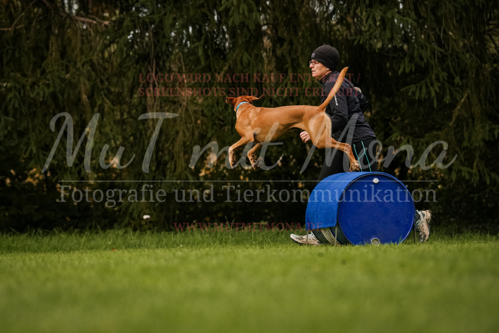 20251005_THS_Turnier-709 | MuT (Mensch und Tier) mit Mona - Fotografie und Tierkommunikation - Realisiert mit Pictrs.com