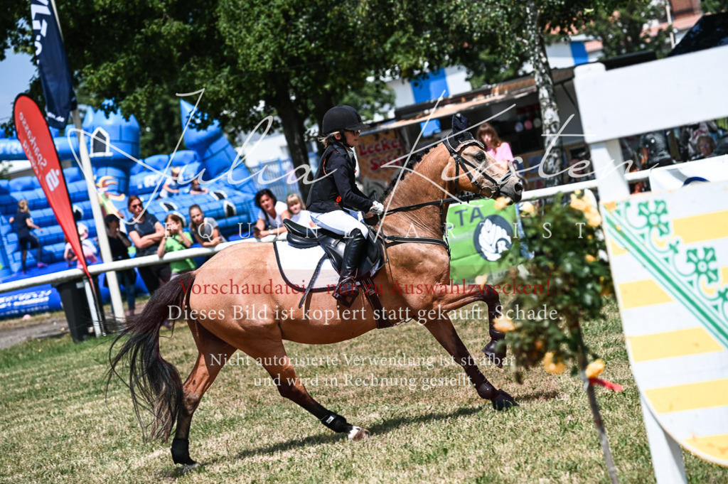 DSC_9717 | Pferde- und Turnierfotografie in Westsachsen. Pferdeportraits, Auftragszeichnungen und intuitive Kunst.