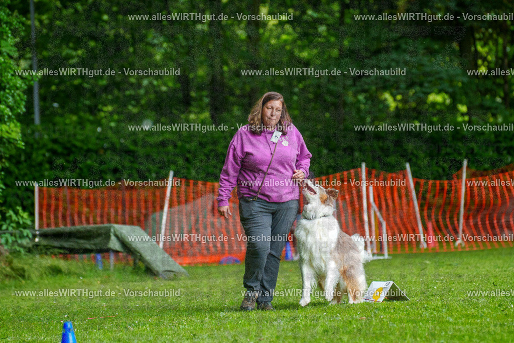 @allesWIRTHgut_Tierfotografie - www.allesWIRTHgut.de - 7R503318 | Professionelle Tierfotografie in Mönchengladbach von Daniel Wirth (allesWIRTHgut). Liebevolle & natürliche Bilder von Hunden & Katzen für unvergessliche Erinnerungen.