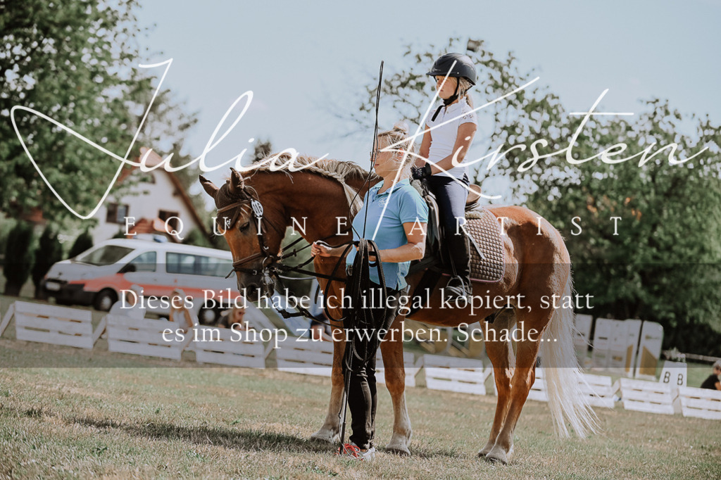 DSC_7836 | Pferde- und Turnierfotografie in Westsachsen. Pferdeportraits, Auftragszeichnungen und intuitive Kunst.
