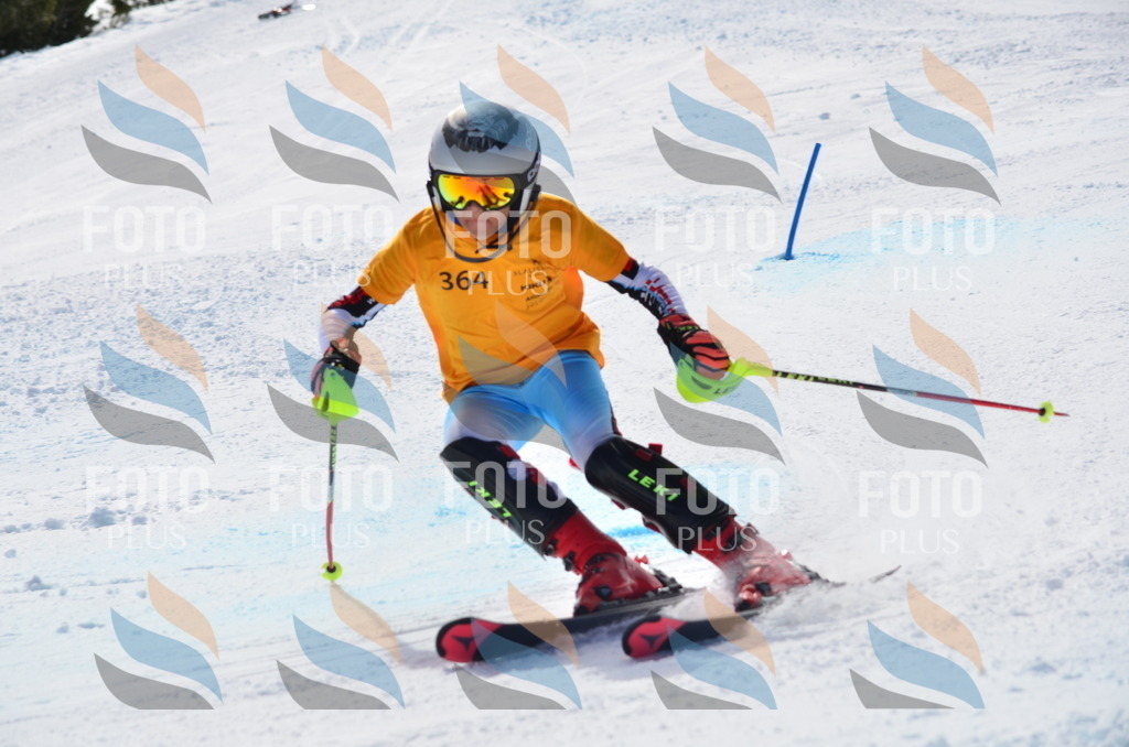 C9871 | holidayphoto