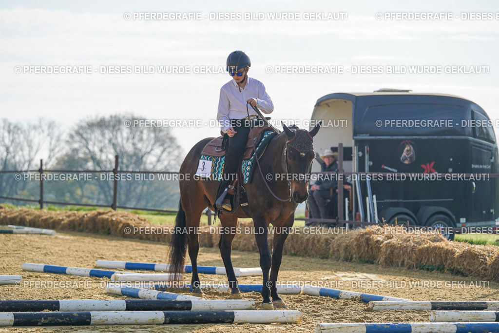 DSC00762 | Pferdegrafie