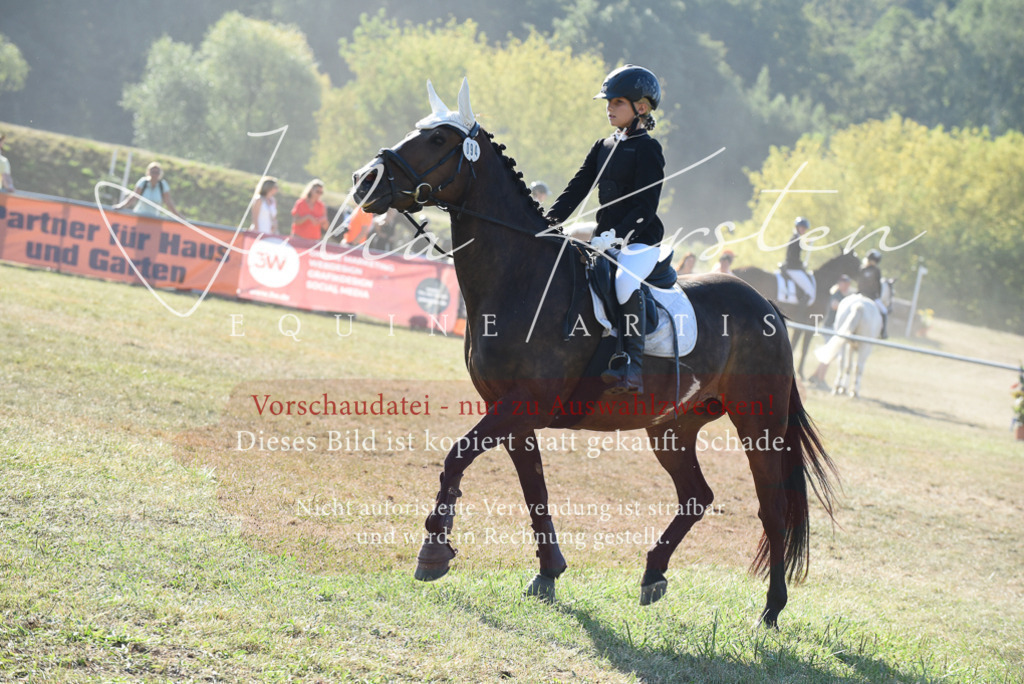 DSC_5732 | Pferde- und Turnierfotografie in Westsachsen. Pferdeportraits, Auftragszeichnungen und intuitive Kunst.