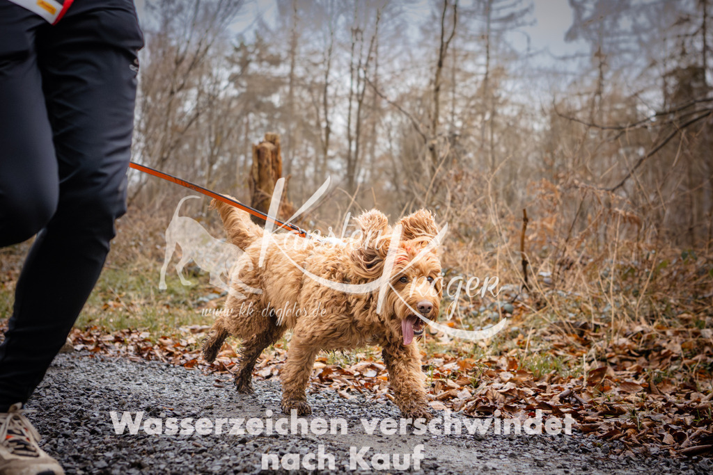 1024_ZZ95428 | kk-dogfotos