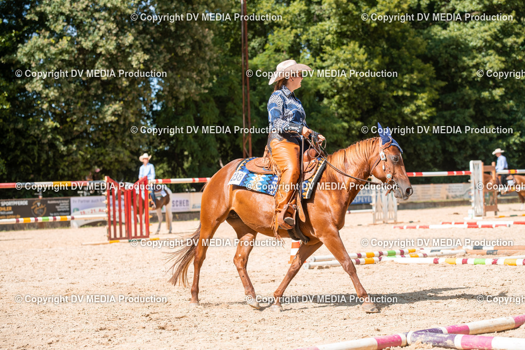 EWP_6836 | dv-media-shop - Realisiert mit Pictrs.com