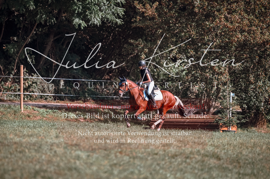 DSC_0943 | Pferde- und Turnierfotografie in Westsachsen. Pferdeportraits, Auftragszeichnungen und intuitive Kunst.