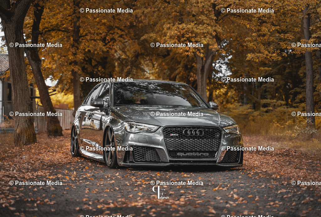 DSC07290 | Passionate Media, dein Fotograf aus Brandenburg, Märkisch Oderland, im Bereich Motorsport, Autos und Motorräder sowie Events und auch Hunde. Shootings oder auch Eventbegleitungen können bei mir gebucht we