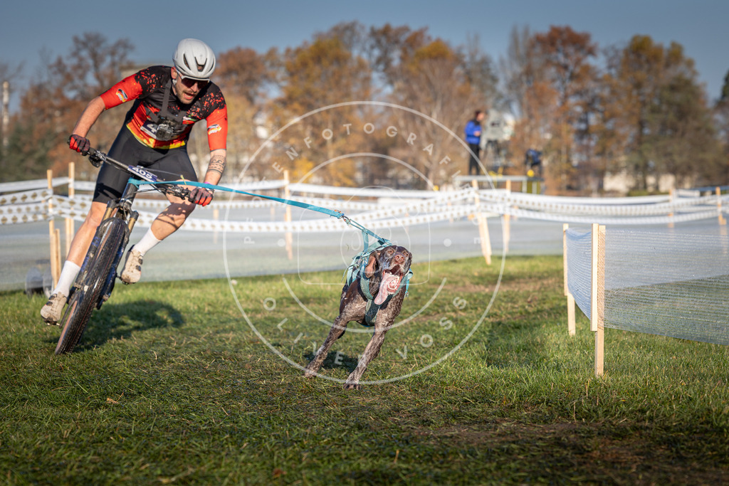CaniXpix_0L8A4015 | Hundefotografie, Tierfotograf, Pfotenfotografie, Fotoshooting Hund, Hunde Portrait, Hundesport, Hundeportraits, Heideshooting, Hunde, Sportfotograf, Hundefotograf, Turnierhundsport, THS,  - Realisiert mit Pictrs.com