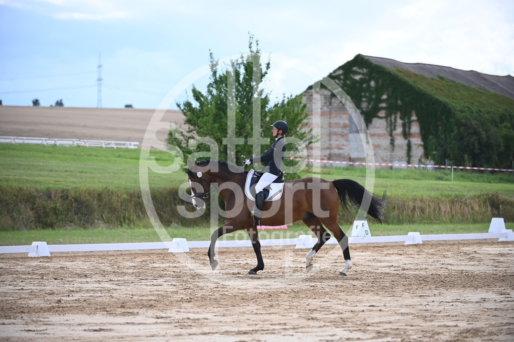 DSC_7706 | sattelsport - Realisiert mit Pictrs.com