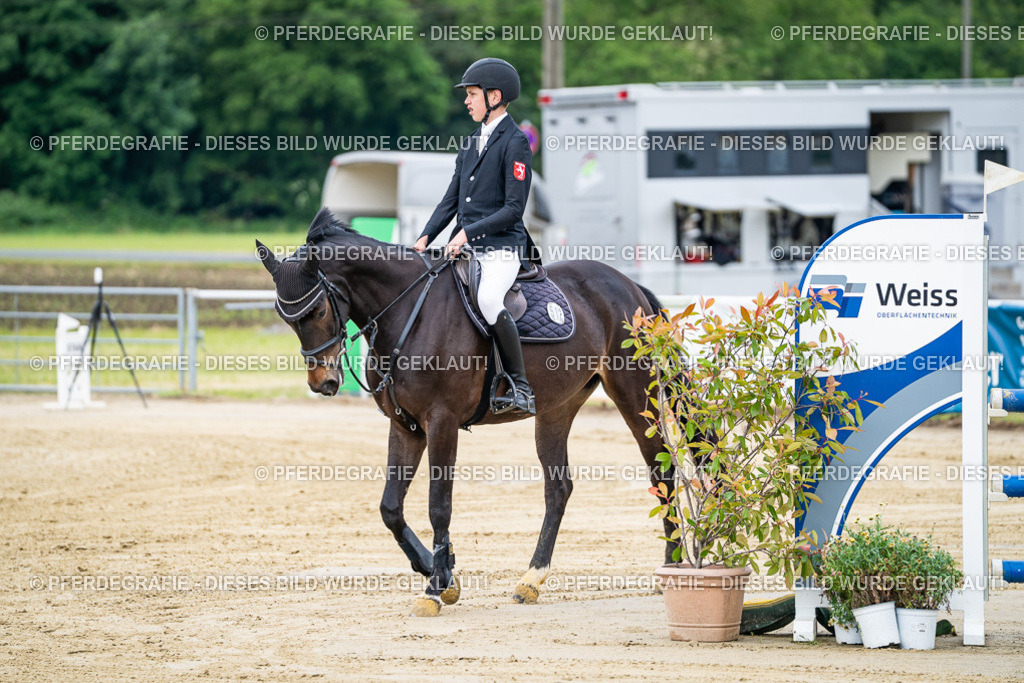 DSC04969 | Pferdegrafie