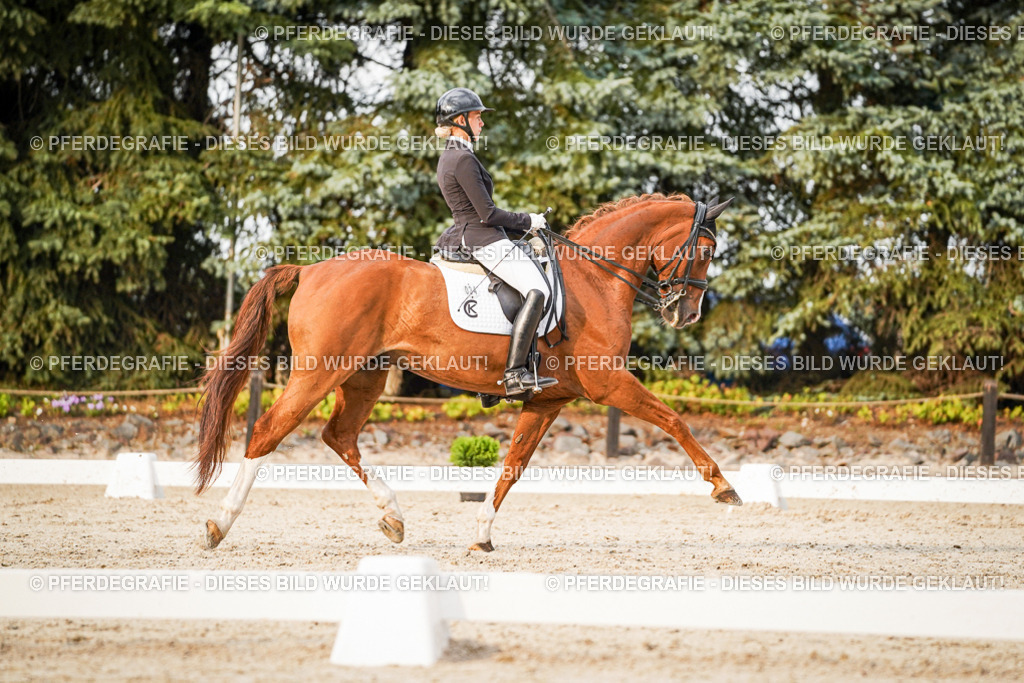 DSC09342 | Pferdegrafie