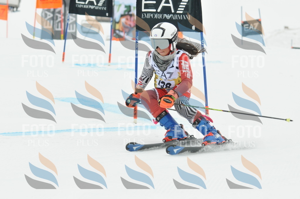 DSC_8356 | holidayphoto