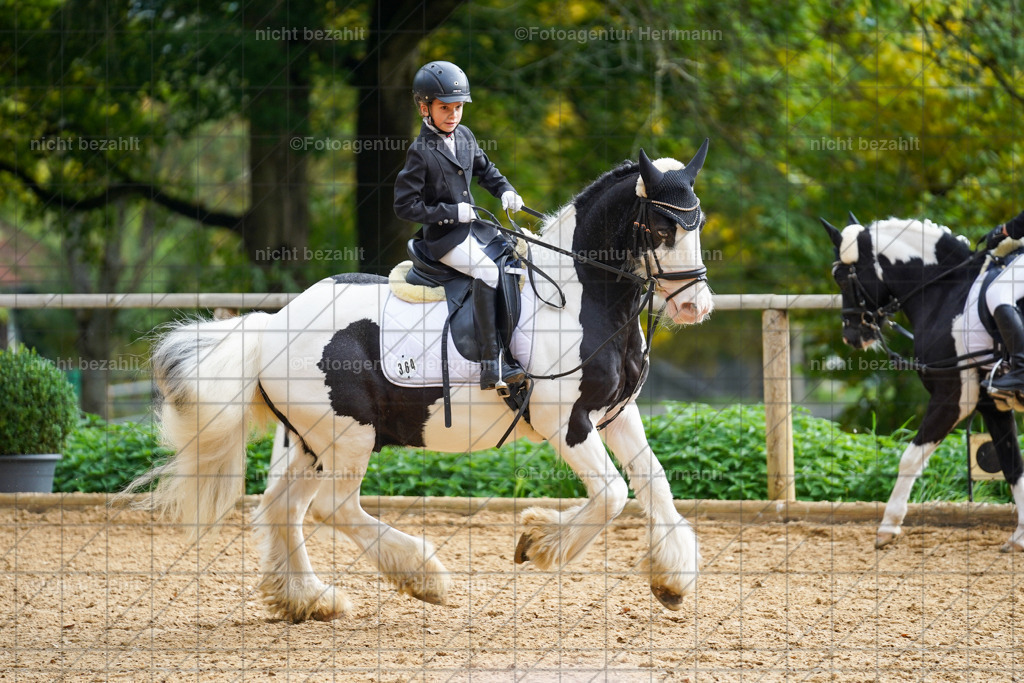 20221008-FAH01353 | Diessen am Ammersee, 2022, Dressur- und Springturnier, Reitsportbilder, Turnierfotografen Bayern, Pferdefotografen, Fotoagentur Herrmann, Turnierbilder