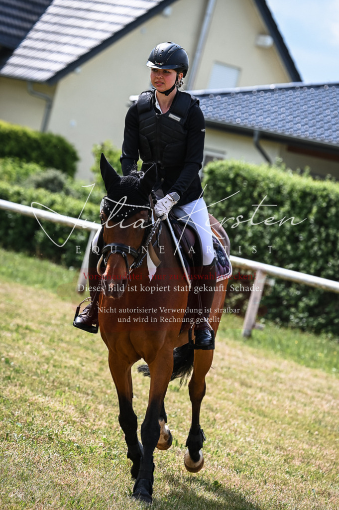 DSC_8630 | Pferde- und Turnierfotografie in Westsachsen. Pferdeportraits, Auftragszeichnungen und intuitive Kunst.