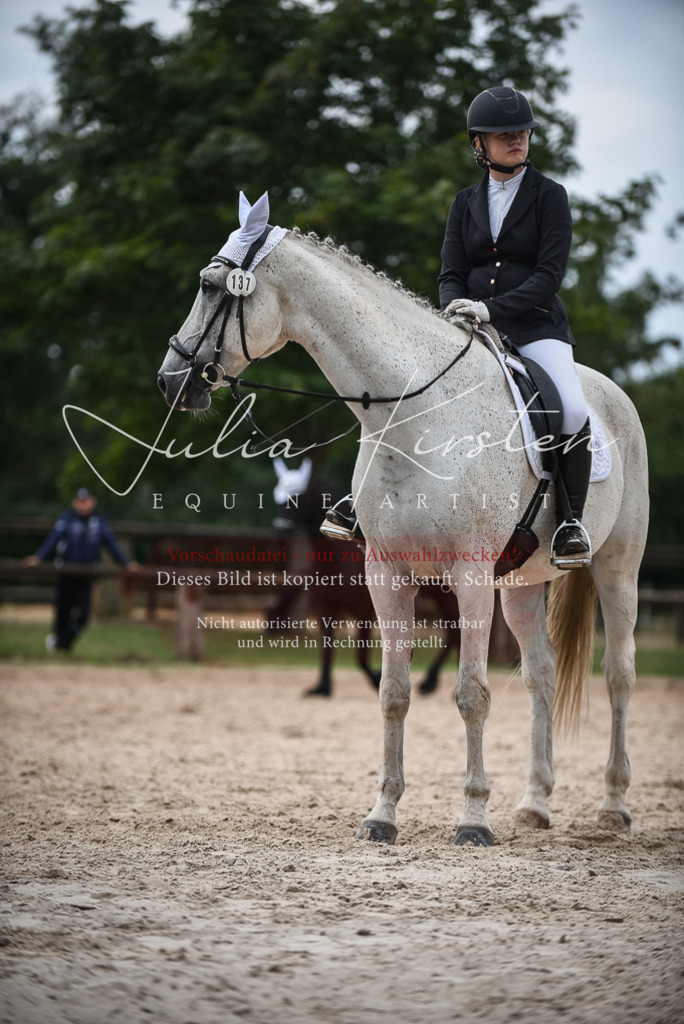 DSC_8437 | Pferde- und Turnierfotografie in Westsachsen. Pferdeportraits, Auftragszeichnungen und intuitive Kunst.