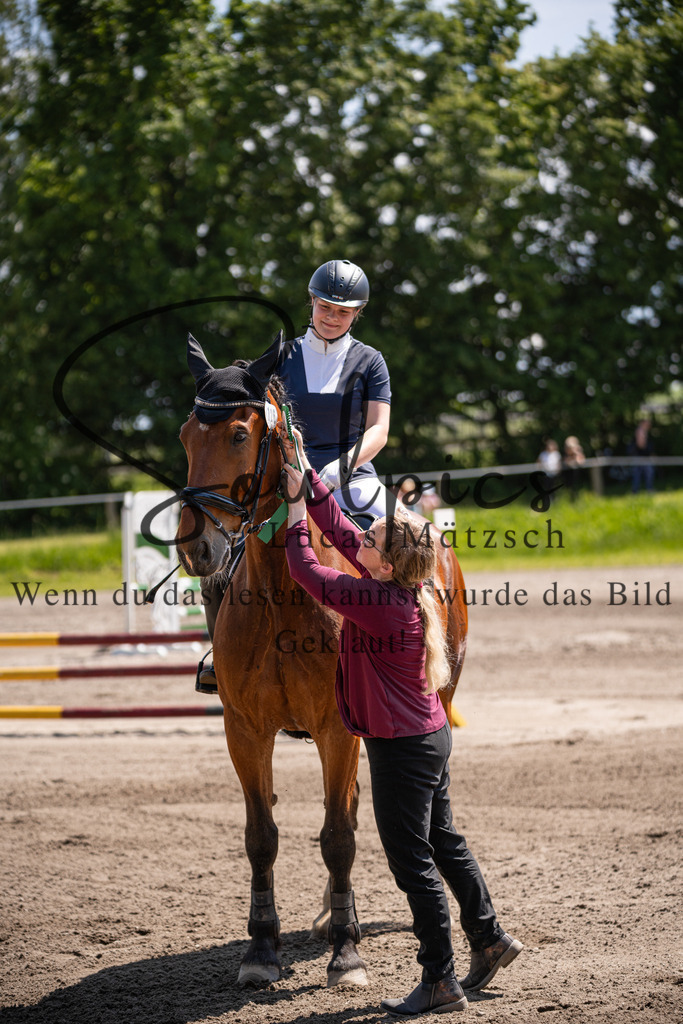 A7V03191 | Pferdefotograf