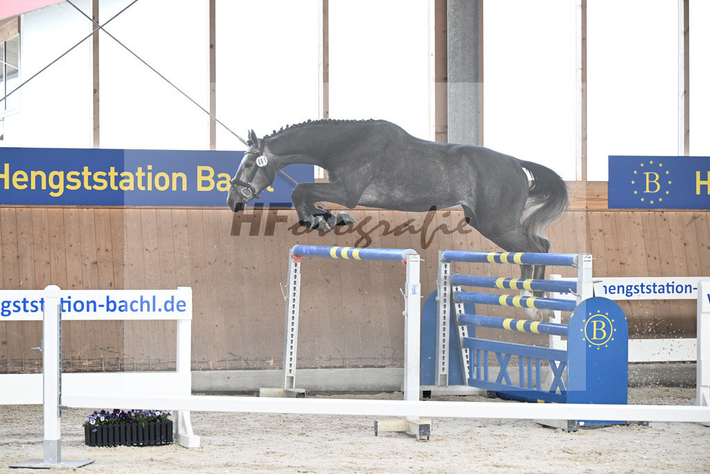 Kat-Nr. 91 Radetsky S v. El Torreo de Muze_KES Kreidl_5251732 | hf-fotografie - Realisiert mit Pictrs.com