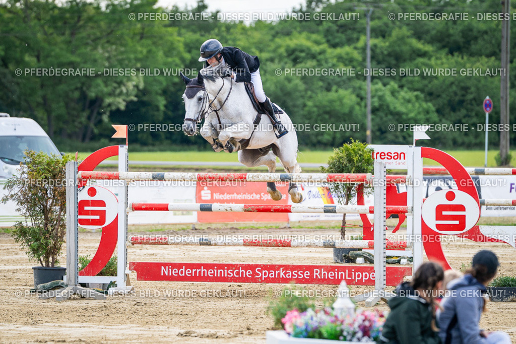 DSC07363 | Pferdegrafie