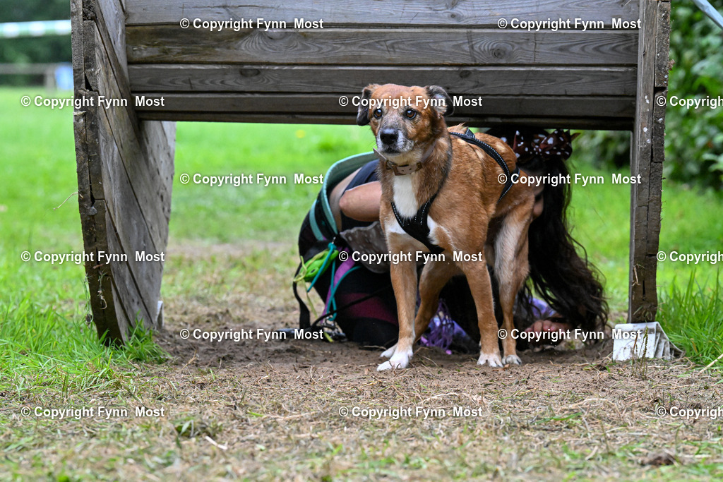 DSC_3367 | Hallo und herzlich Willkommen auf meiner Shop-Seite Fynn Most.

Ich wünsche Dir viel Spaß beim stöbern durch die Bilder, wenn Du Fragen hast oder Bilder vermisst, kannst du mir gerne eine Nachricht schreiben. - Realisiert mit Pictrs.com