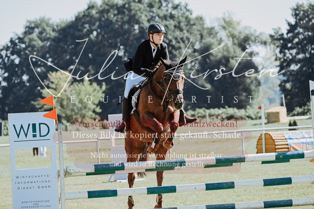 DSC_5447 | Pferde- und Turnierfotografie in Westsachsen. Pferdeportraits, Auftragszeichnungen und intuitive Kunst.