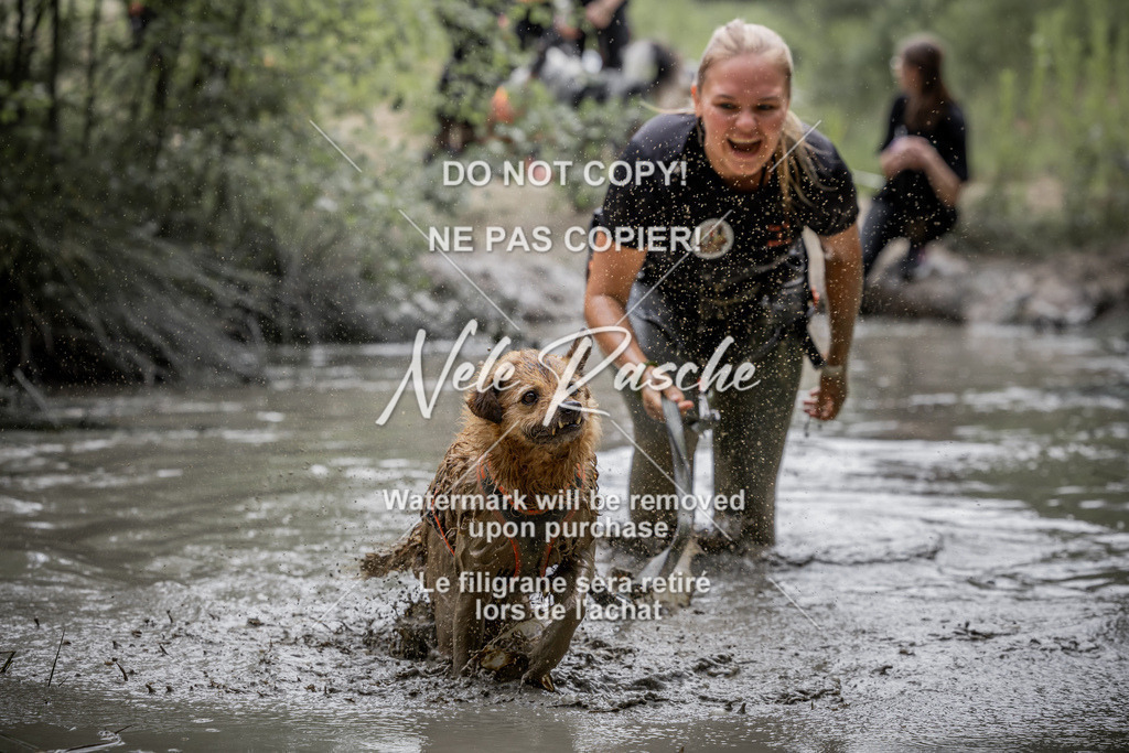 nelerasche_so1300-1330_384 | nelerasche