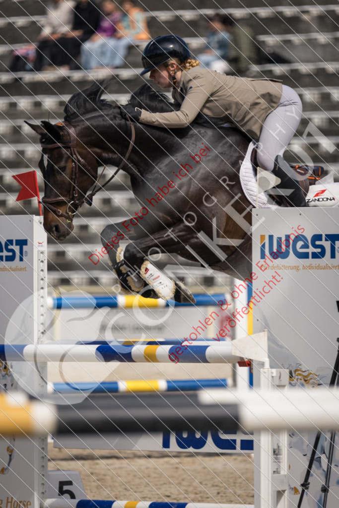 IMG_4616 | Sport-, Event- und Tierfotos in Profiqualität. Einfach auswählen, bestellen und herunterladen. Dein Moment – perfekt festgehalten.