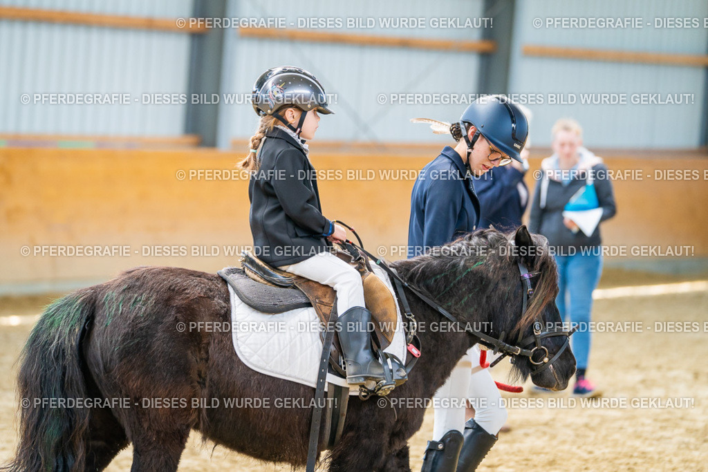 DSC00617 | Pferdegrafie