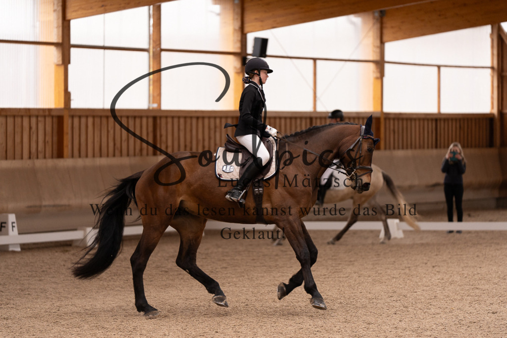 A7506981 | Turnier/Reitfotograf