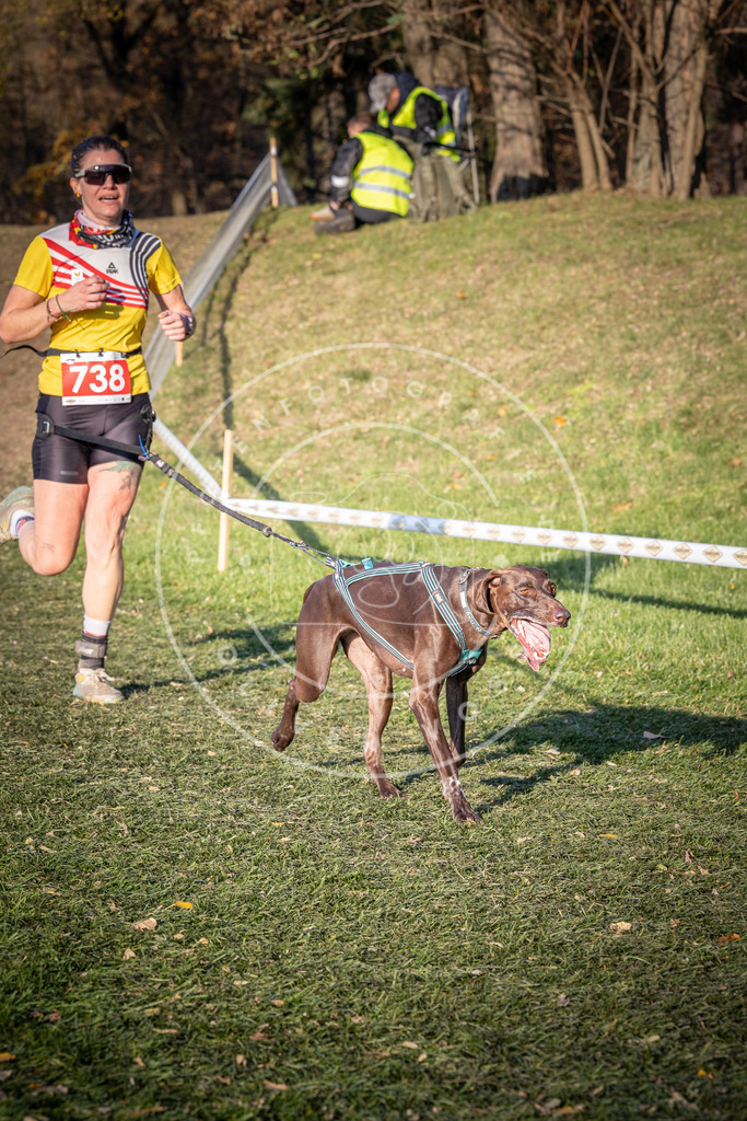 CaniXpix_0L8A9841 | Hundefotografie, Tierfotograf, Pfotenfotografie, Fotoshooting Hund, Hunde Portrait, Hundesport, Hundeportraits, Heideshooting, Hunde, Sportfotograf, Hundefotograf, Turnierhundsport, THS,  - Realisiert mit Pictrs.com