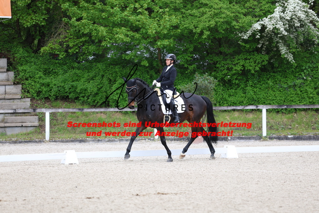 A40A4254 | lmwpictures - Realisiert mit Pictrs.com