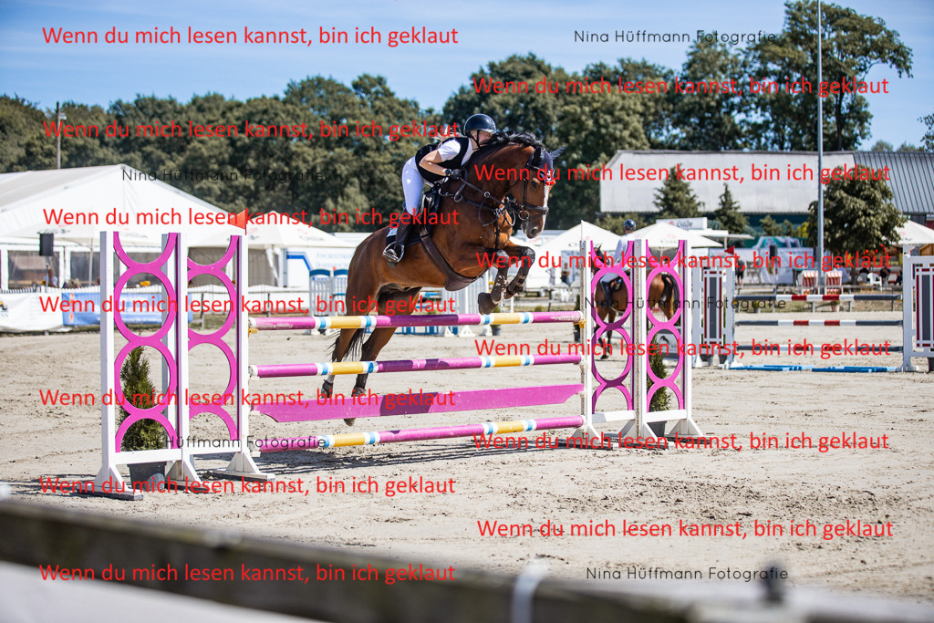 BK1A6643 | Turnierbilder Turnierfotos Nina Hüffmann Turnierfotografie Pferdefotografie Tierzeichnung Haustierzeichnung Pferdezeichnung Hundezeichnung Videograf  - Realisiert mit Pictrs.com