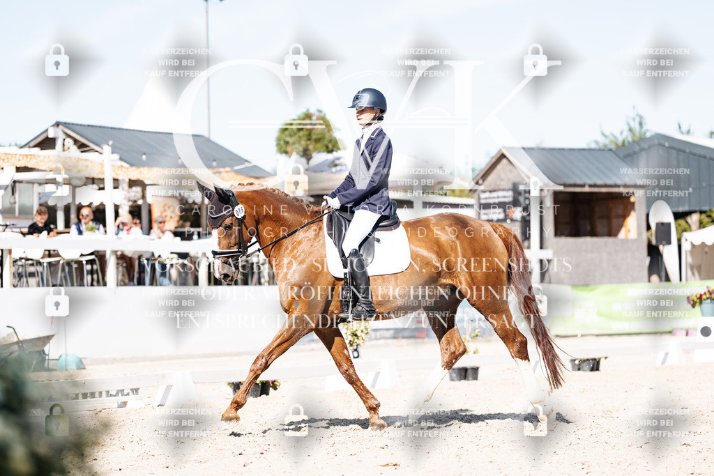 CK908402 | Turnierfotografie Pferdefotografie Trier Rheinland-Pfalz Pferdesport Reitsport Tierfotografie Sportfotografie Pferdevideo Pferdevideografie Equestrianvideography equestrianphotography  - Realisiert mit Pictrs.com