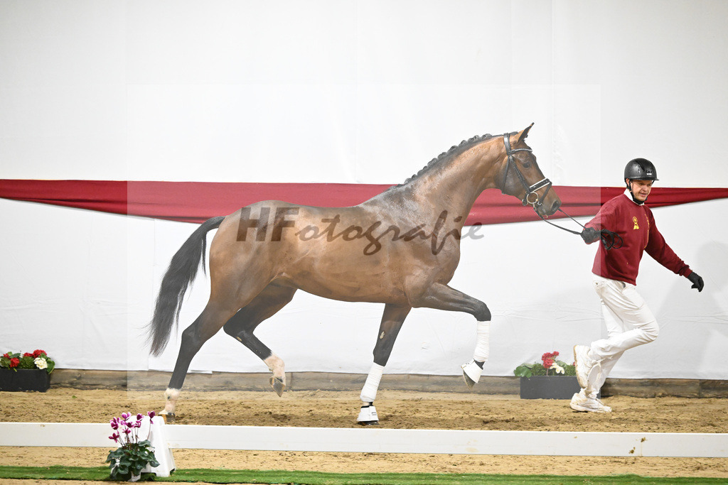 Kat-Nr. 60 v. Valverde_Schoenland_63221794 | hf-fotografie - Realizzato con Pictrs.com