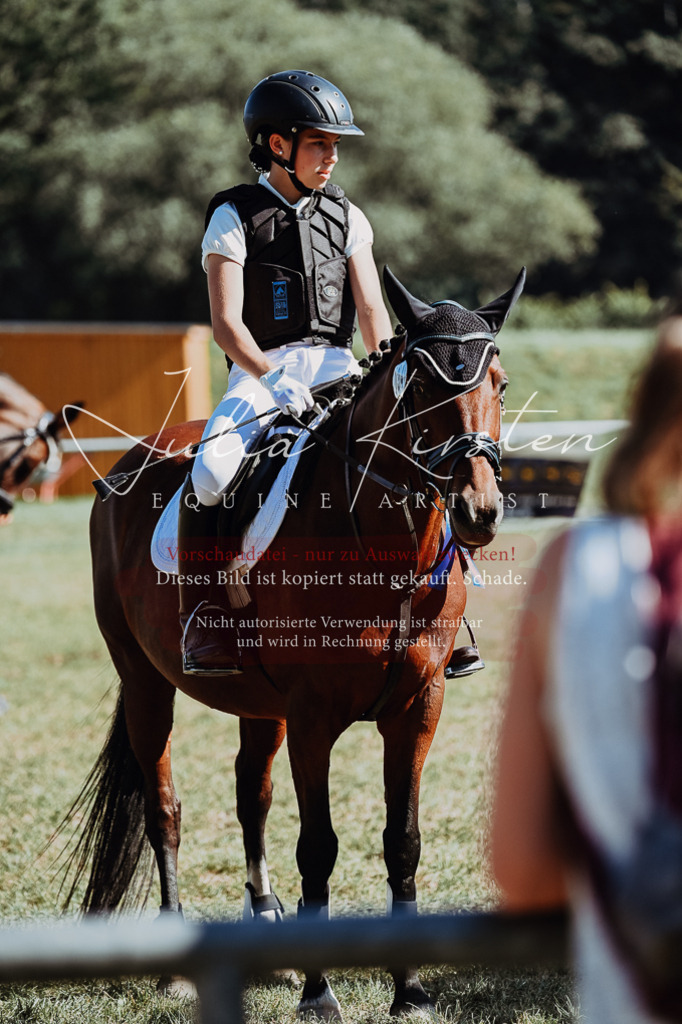 DSC_6986 | Pferde- und Turnierfotografie in Westsachsen. Pferdeportraits, Auftragszeichnungen und intuitive Kunst.