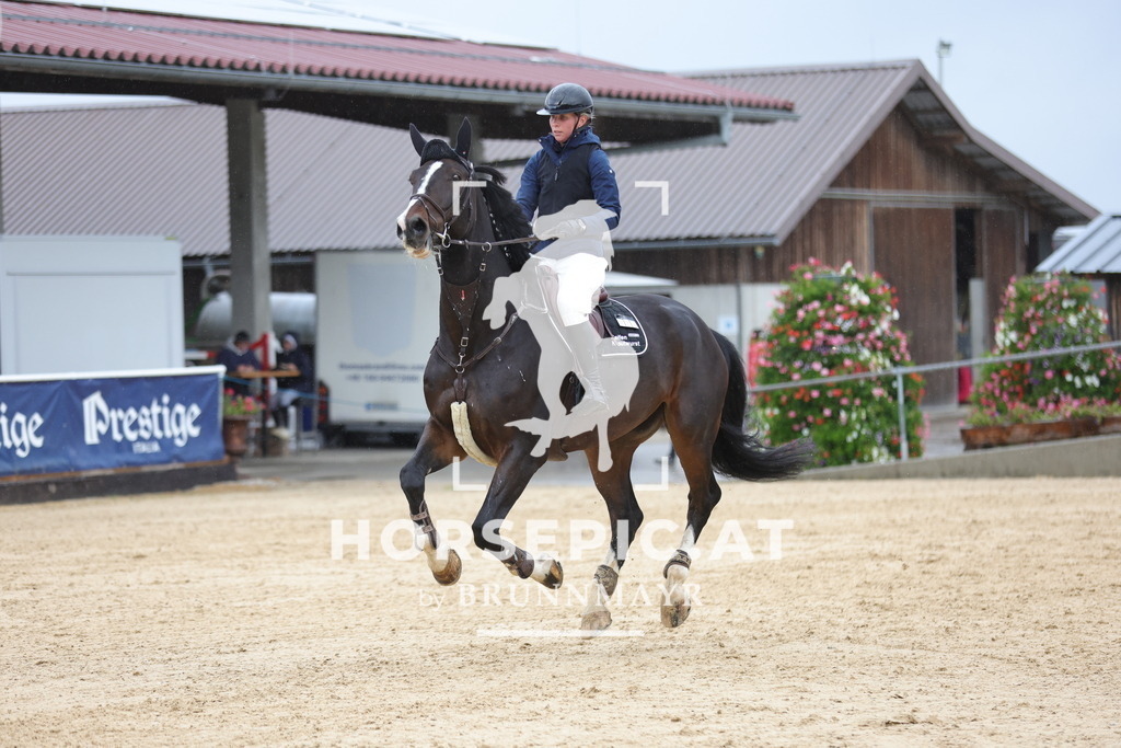 0P6A8722 | Willkommen bei Brunnmayr - Design & Fotografie – Ihrem Spezialisten für Reitturniere und Pferdeveranstaltungen in Oberösterreich, Salzburg und Bayern! Seit über 17 Jahren sind wir leidenschaftlich dabei.