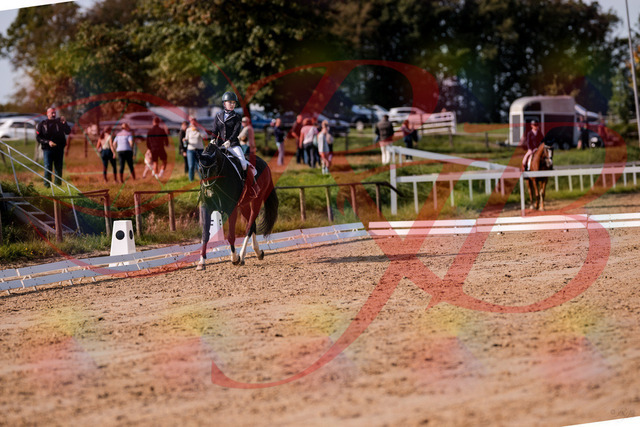 2026_10_03_Siefer-Hof_121552_Z81_17633904 | Professionelle Reitsport-, Turnier- und Eventfotografie von Robert Broda. Galerien mit ausgewählten und bearbeiteten Bildern direkt online ansehen und bestellen.