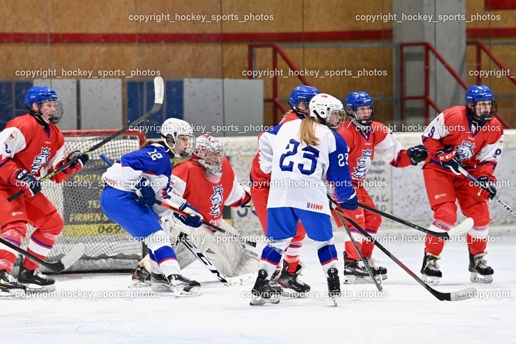 BST_5846 | hockey sports photos, Pressefotos, Sportfotos, hockey247, win 2day icehockeyleague, Handball Austria, Floorball Austria, ÖVV, Kärntner Eishockeyverband, KEHV, KFV, Kärntner Fussballverband, Österreichischer Volleyballverband, Alps Hockey League, ÖFB, 