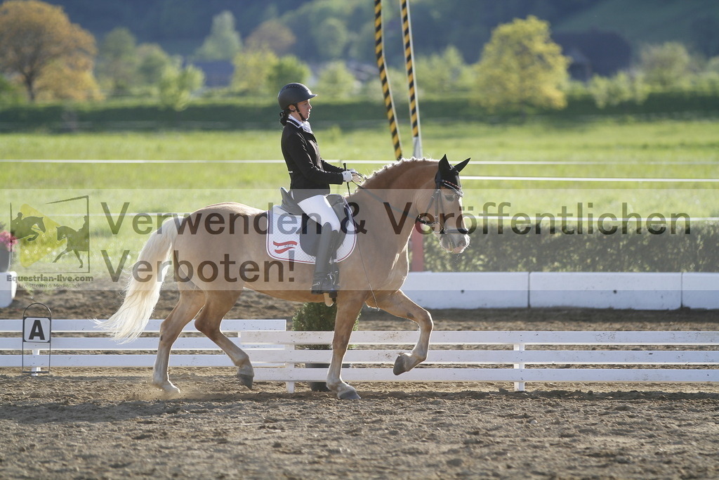 _MG_4369 | equestrian-live-com