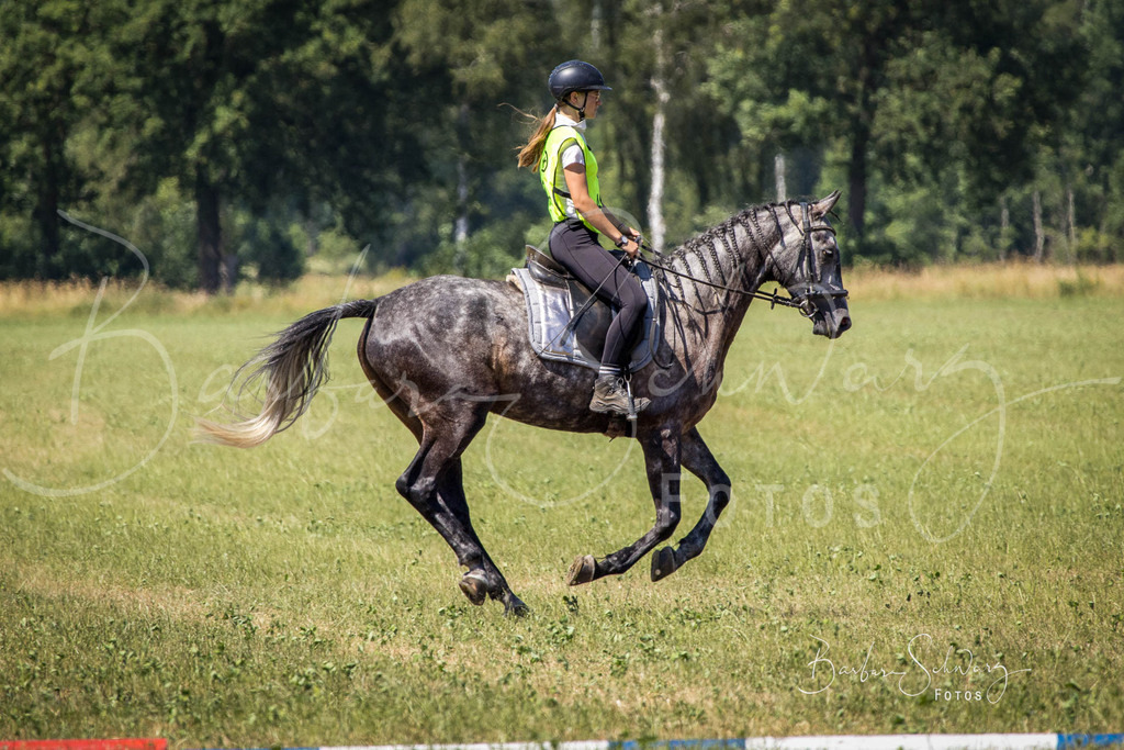CJP_2026-06-26_72 | Stimmungsvolle Fotografie von Pferden, fotografische Begleitung von Veranstaltungen, Golfturnieren und Distanzritten - Realisiert mit Pictrs.com