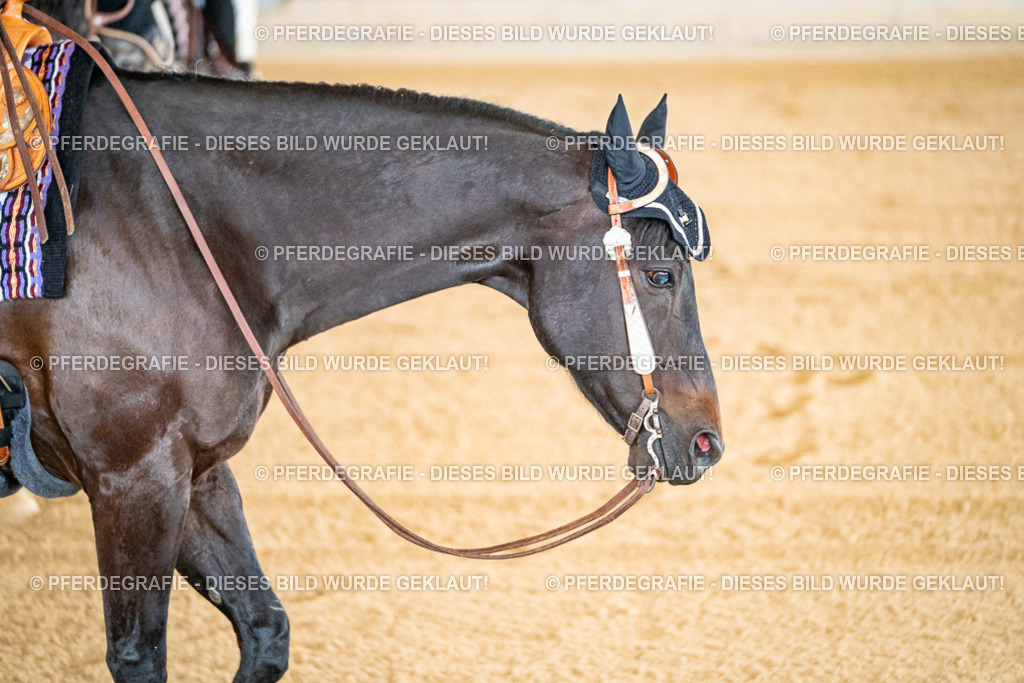 DSC01611 | Pferdegrafie