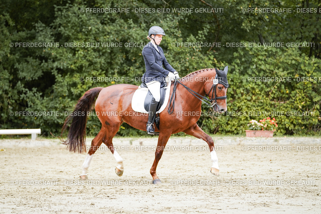 DSC04448 | Pferdegrafie