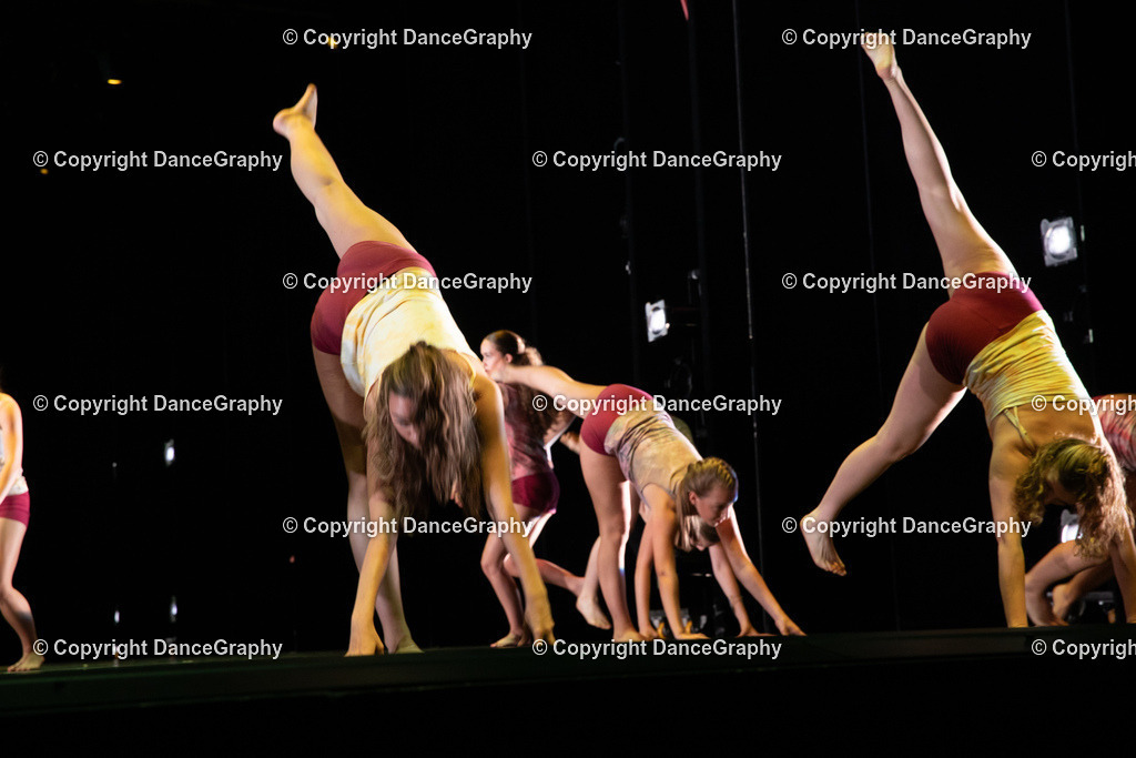 GPHY6361 | DanceGraphy - Realisiert mit Pictrs.com