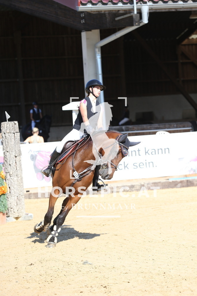DL2Q2385 | Willkommen bei Brunnmayr - Design & Fotografie – Ihrem Spezialisten für Reitturniere und Pferdeveranstaltungen in Oberösterreich, Salzburg und Bayern! Seit über 17 Jahren sind wir leidenschaftlich dabei.