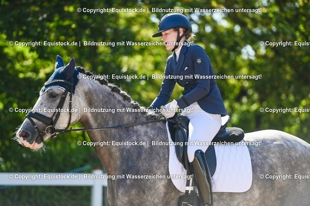 20230715_06_Dressurpferdeprfg. Kl.A_0320 | equistock