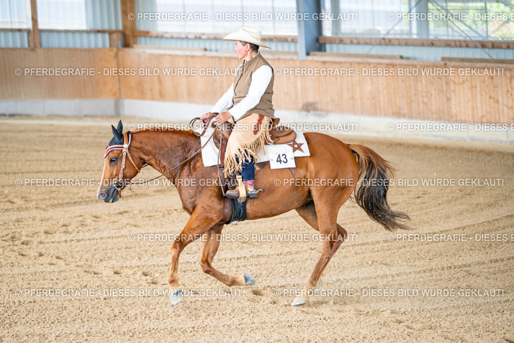 DSC01655 | Pferdegrafie