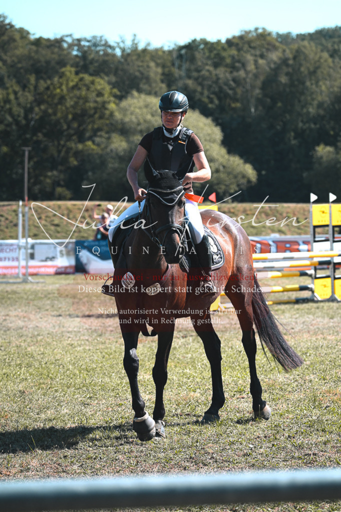 DSC_8417 | Pferde- und Turnierfotografie in Westsachsen. Pferdeportraits, Auftragszeichnungen und intuitive Kunst.